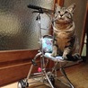 おばあちゃんの押し車が大好き(o^^o)