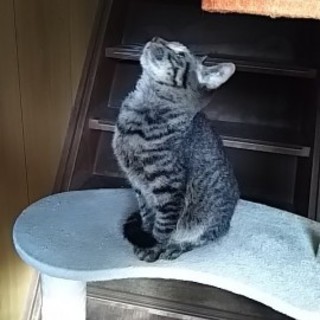 灰に成る為に産まれて来た訳では在りません！