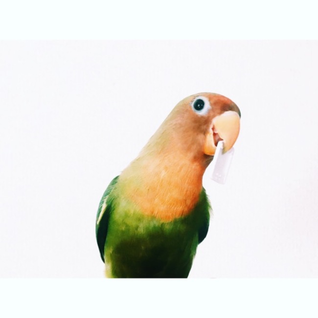 saki_09のカバー写真