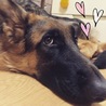うさこ0852 さん
