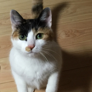  仮名まれちゃん