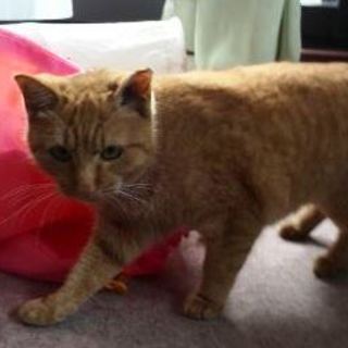 ゆずちゃん　人なれしてます