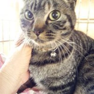 千紗ちゃん　人懐こい子です