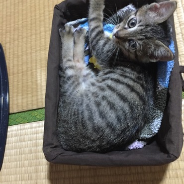 ピッタリ90°！