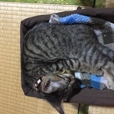 ほぼ90°（笑）