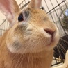 やさぐれてます(^^)