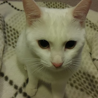 うみちゃん　おちゃめな女の子♪