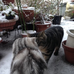 初めて見る雪^._.^