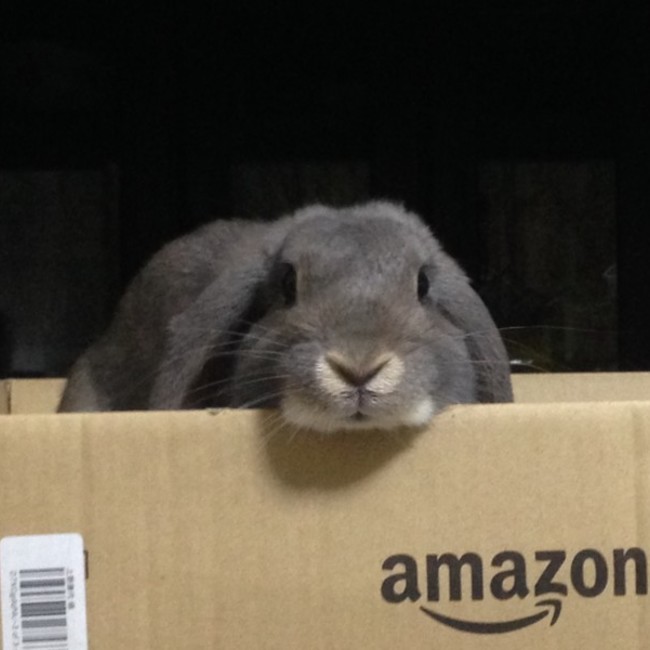 百合庵のカバー写真