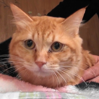 常にべったりの甘えん坊