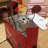 の写真