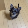 の写真