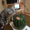 恵美ママ