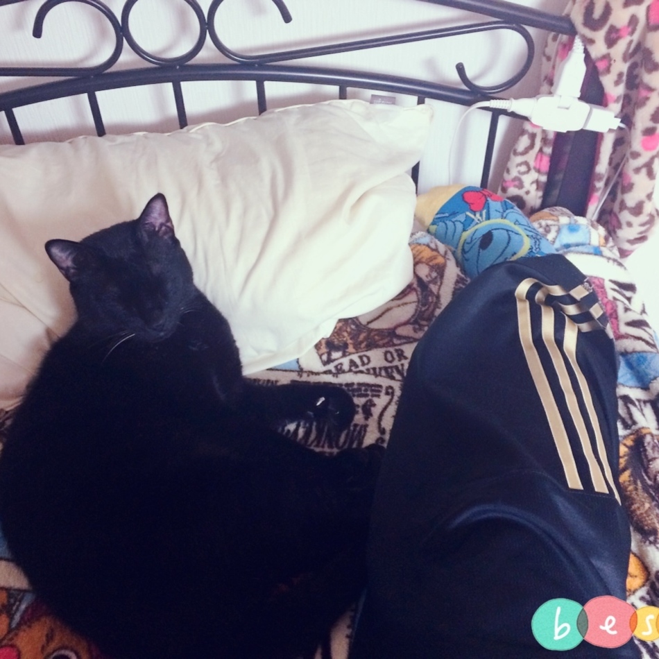 ジジくんのカバー写真