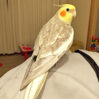 素敵な里親様が決まりました。