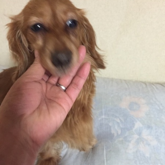 ちゅぴママのカバー写真
