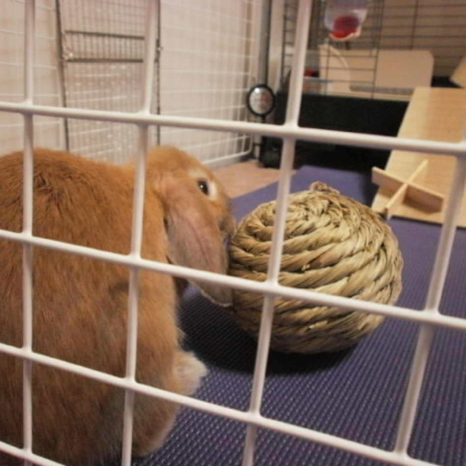 みのりのカバー写真