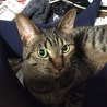 の写真