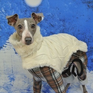 沢山のご応募をいただきました、ありがとうございます