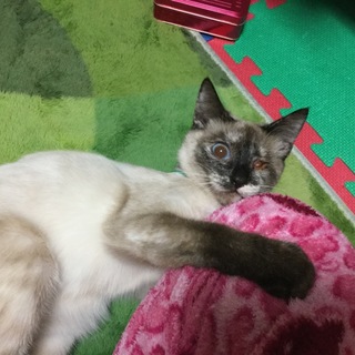 ありがとうございました