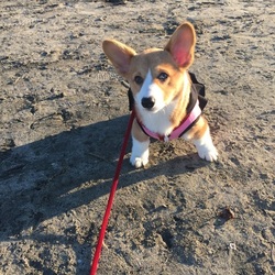 「いつの間にやら明けていて…」サムネイル2