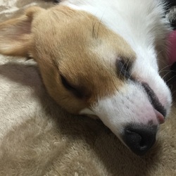 「いつの間にやら明けていて…」サムネイル3