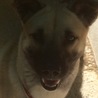 微笑んでくれてるような1枚です。