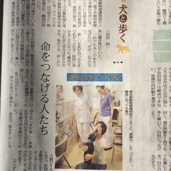 保護活動してる人を尊敬