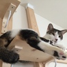 の写真