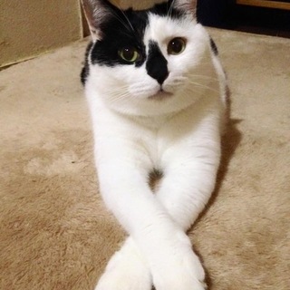 ありがとうございました