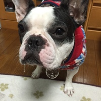 谷口 愛
