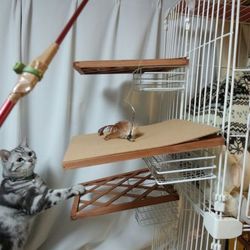 ゲージは使える！