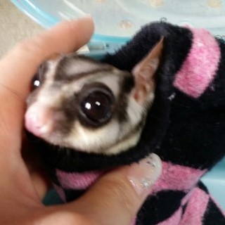 たくさんご応募ありがとうございました！