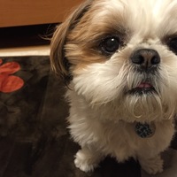 てん