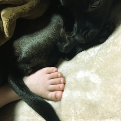 おふとんきもちえ〜わ〜