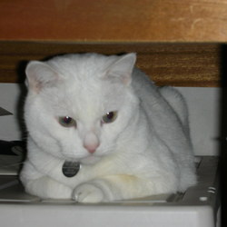 ぼく達がいるじゃん。