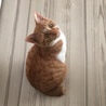 の写真