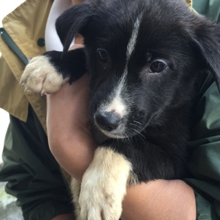 ありがとうございました♡