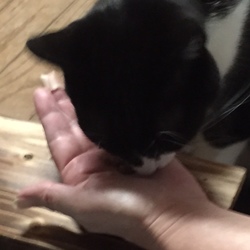 ギャラリー☆続編（？＝？）