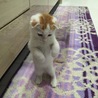 人間が中に入ってるかのよう‥‥（笑）