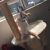 の写真