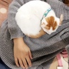 の写真