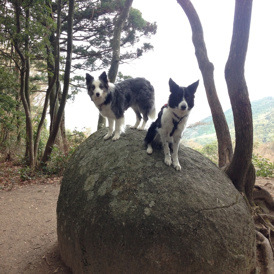 Rangiのカバー写真