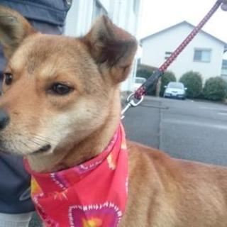 期限切迫！！きれい好きな優しい眼差しの若い男の子