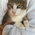 アイラインがとても美しい、目ヂカラのある乙女さん♪