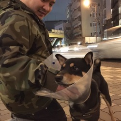 久々に。