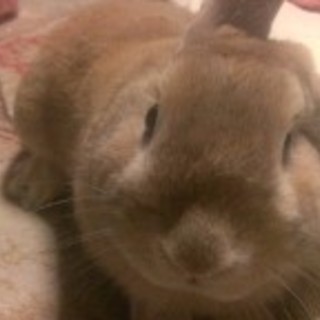 素敵な方々とやり取りができて幸せでした