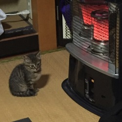 ありゃまっ‼︎Σ（ﾟдﾟlll）