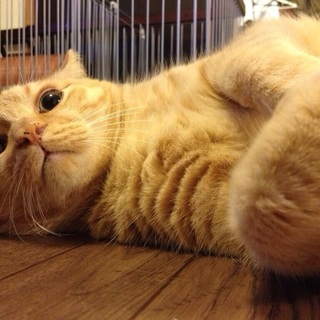 10年一緒に過ごしたきた家族です。