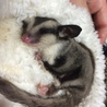 沢山のご応募有難うございました サムネイル2